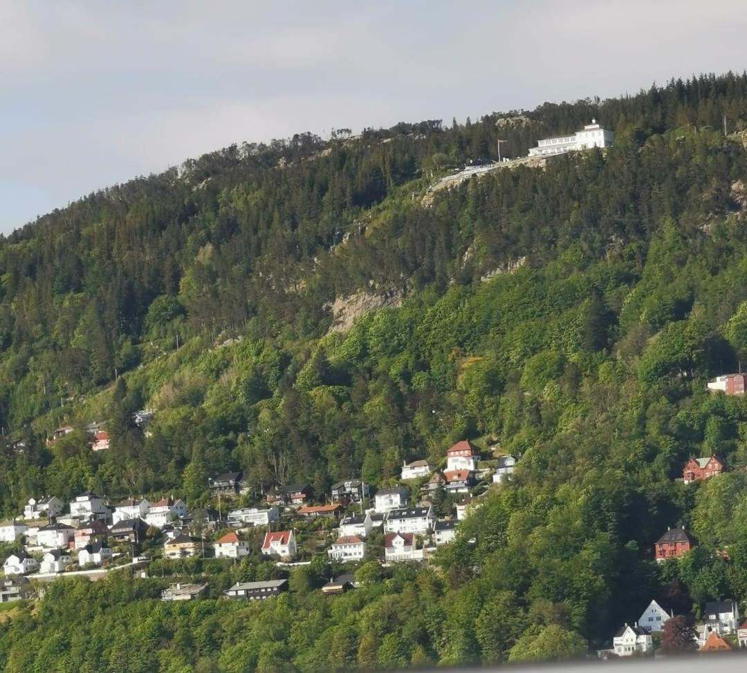 Spacious And Beautiful Apartment In Bergen With Free Parking Exteriör bild