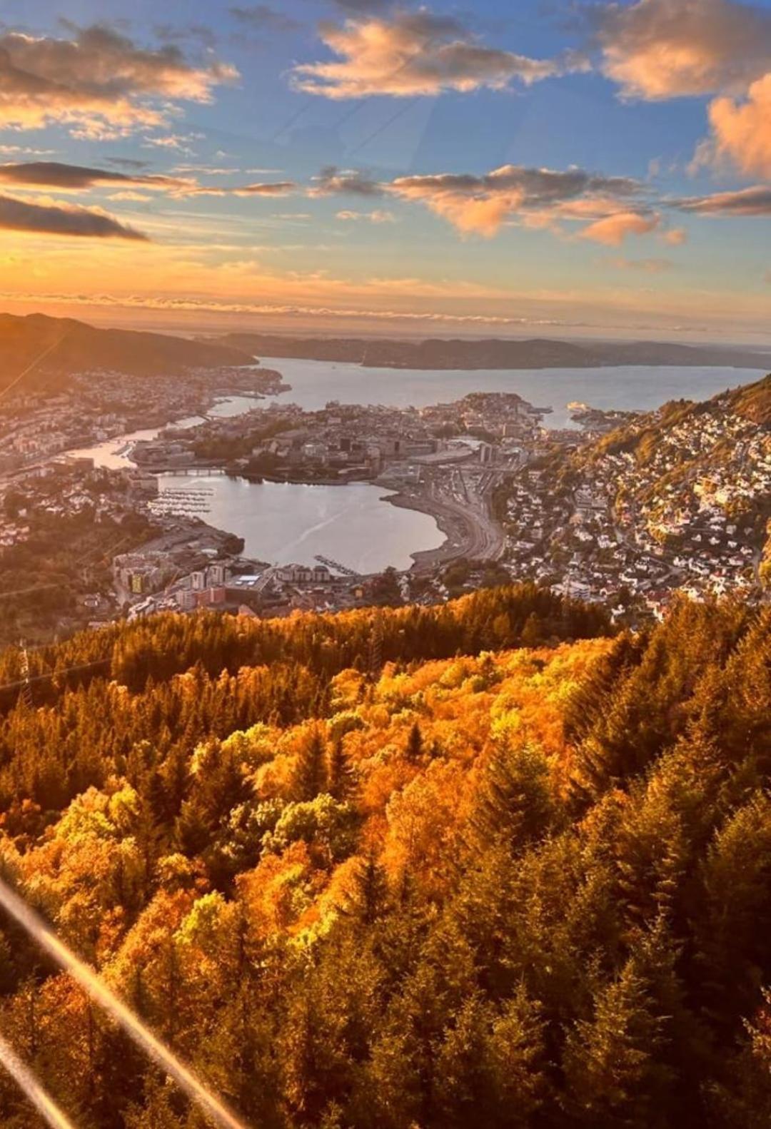 Spacious And Beautiful Apartment In Bergen With Free Parking Exteriör bild