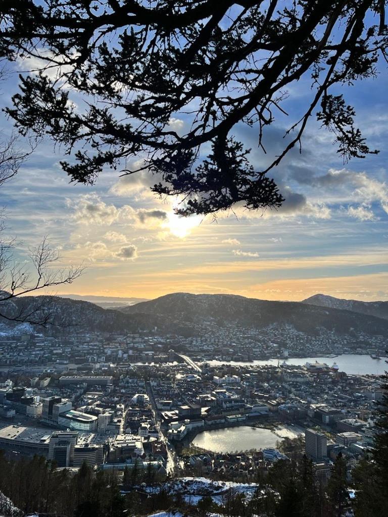 Spacious And Beautiful Apartment In Bergen With Free Parking Exteriör bild